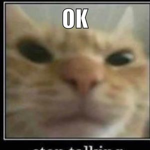 Meet your Posher, Weston